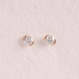 NOTTING HILL STUDS